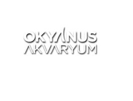Referans logosu 30